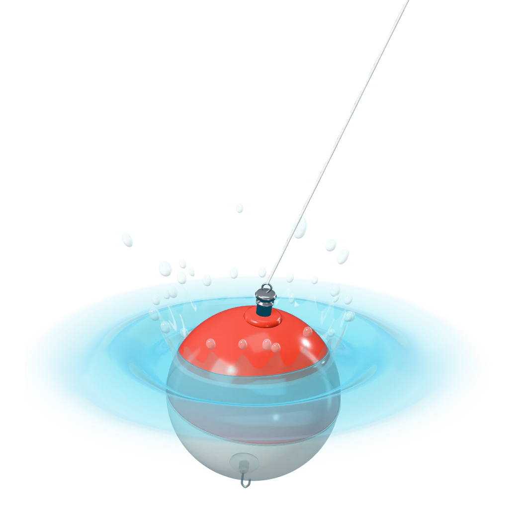 Stage three, bite: the bobber dips under